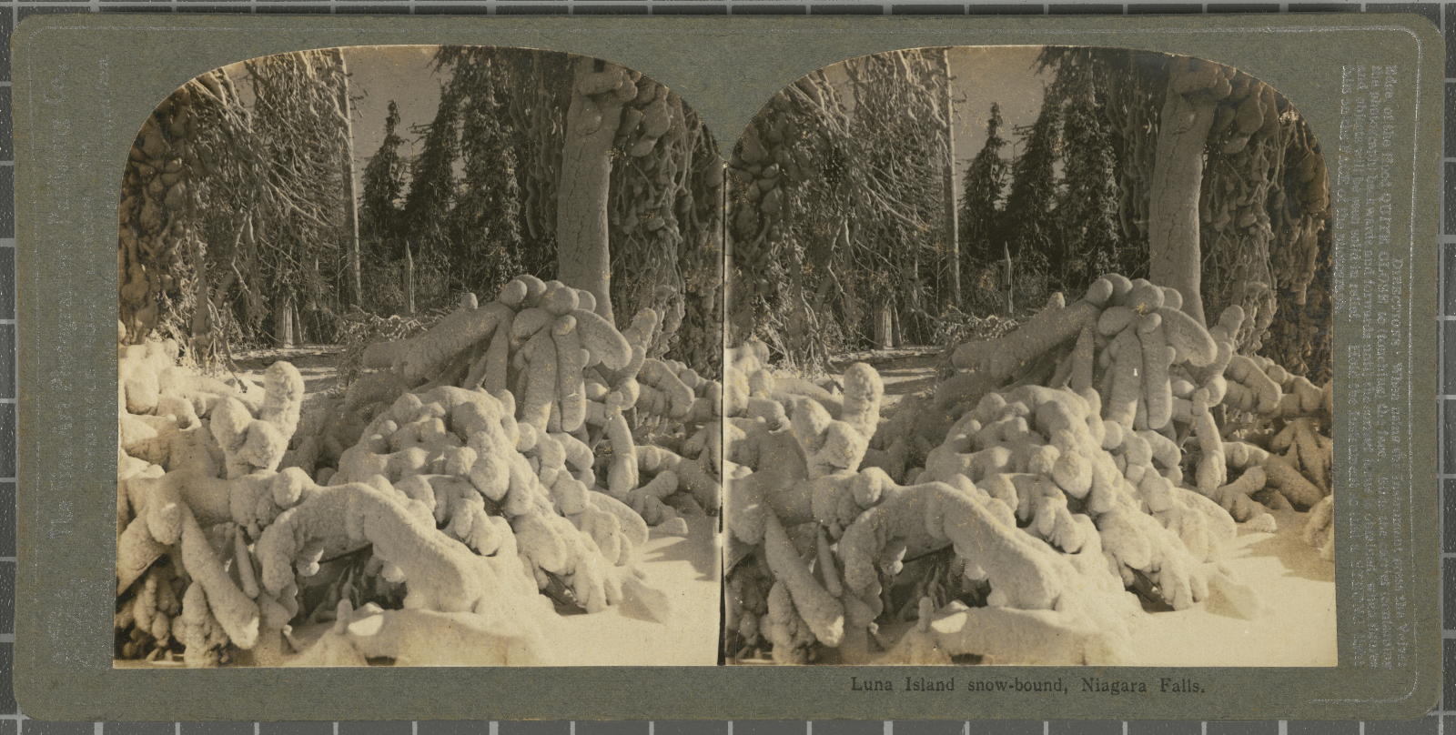 Desconegut, Luna snow-bound, Niagara Falls. Fine-Art Photog. Publish. Co.