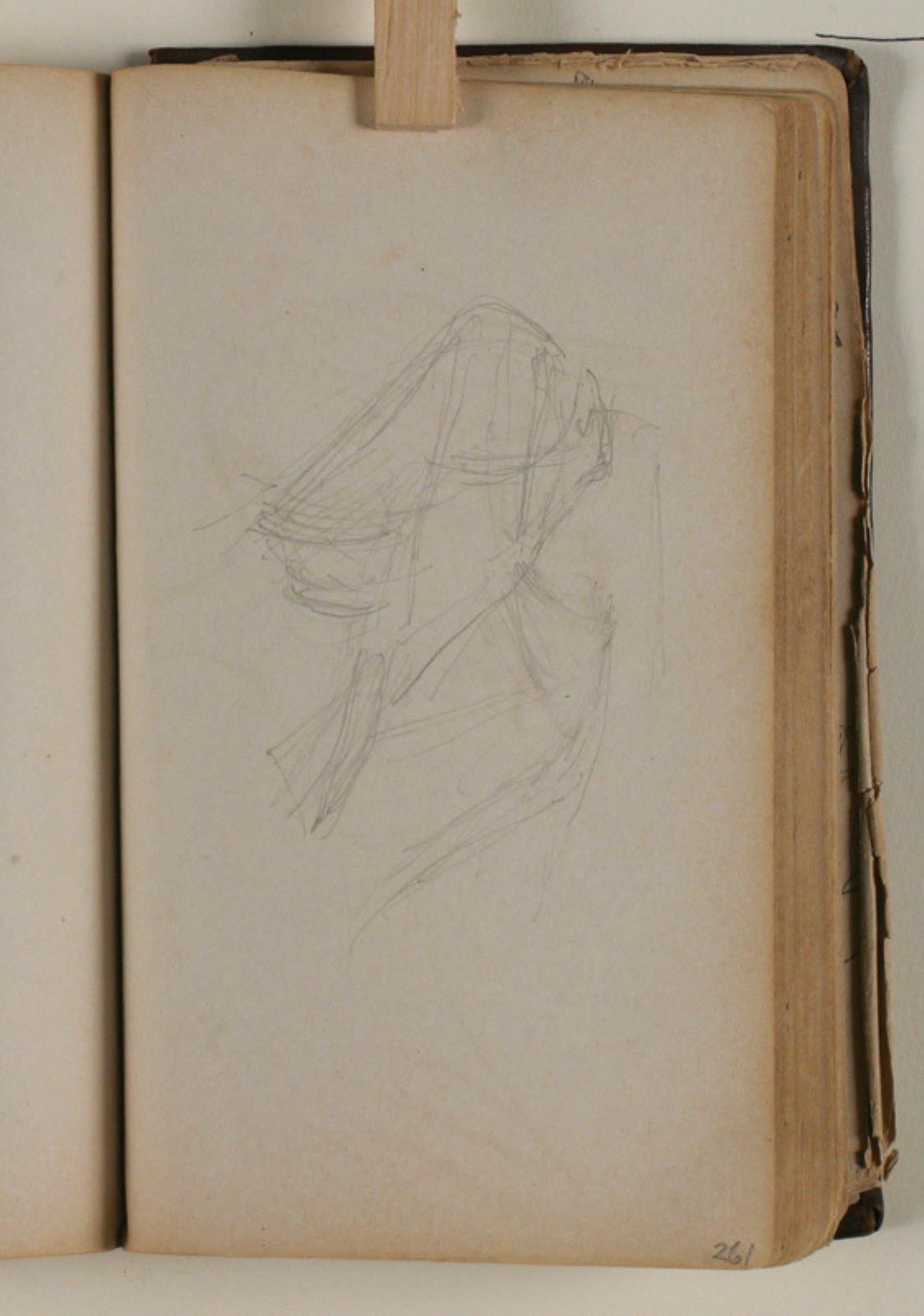 Niels Larsen Stevns, Studie af ørn