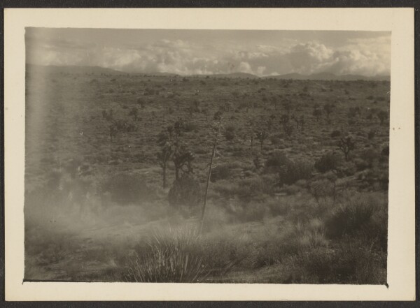 Louis Fleckenstein, [Landscape]