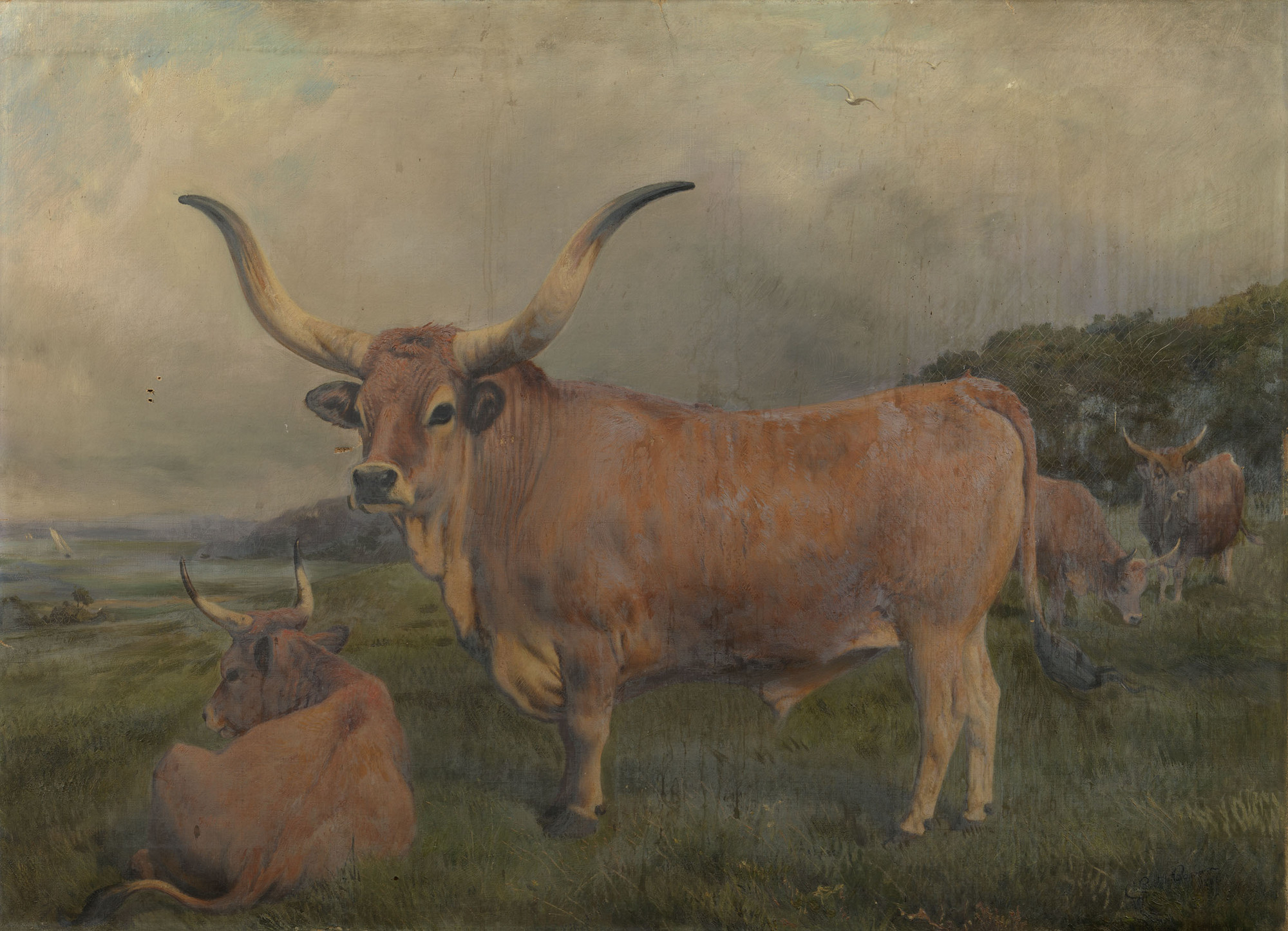 Charles Burton Barber, A group of Spanish Oxen
