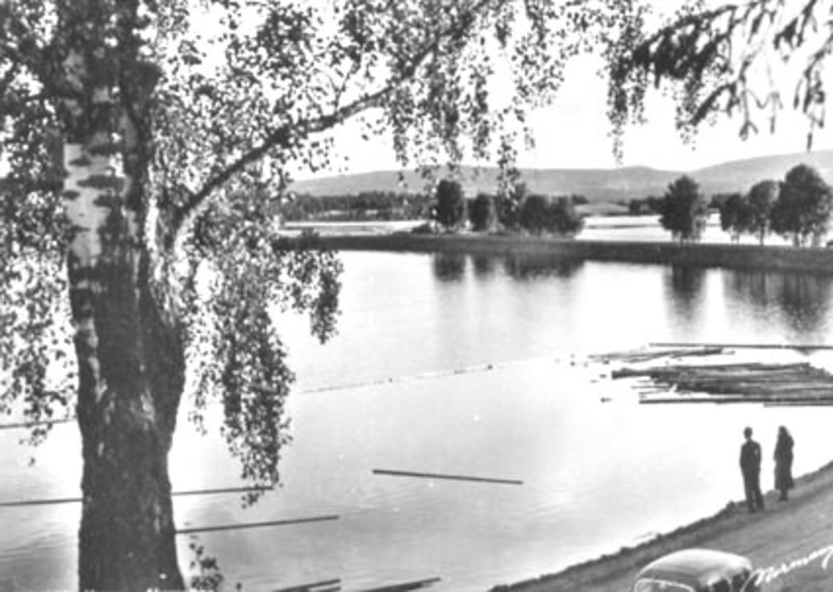 Anno Domkirkeodden, GRUPPE: FAMILIEN SEVERIN SAASTAD.