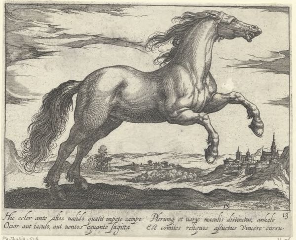Panderen, Egbert van, (1581-1637?), (printmaker), Horse breeds: Landscape with a galloping horse