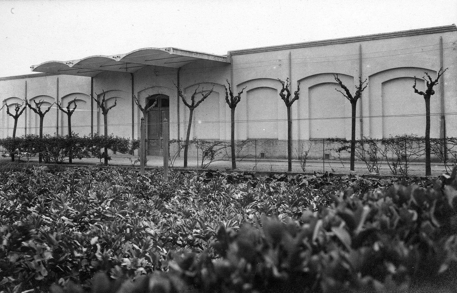 Desconegut, [Salto Psychiatric Hospital]