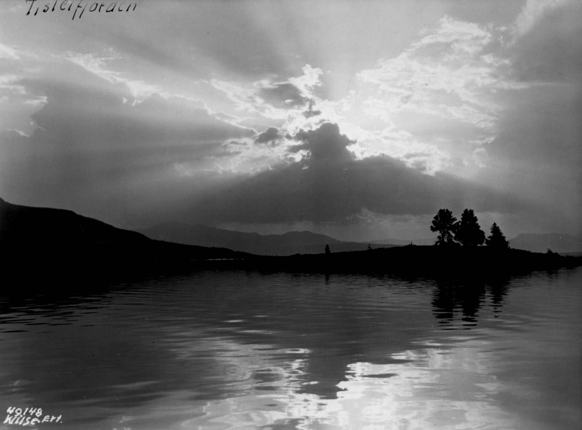 Anders Beer Wilse, Tisleifjorden