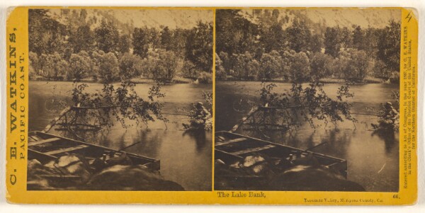 Carleton Watkins, The Lake Bank, Yosemite Valley, Mariposa County, Cal. (#66)