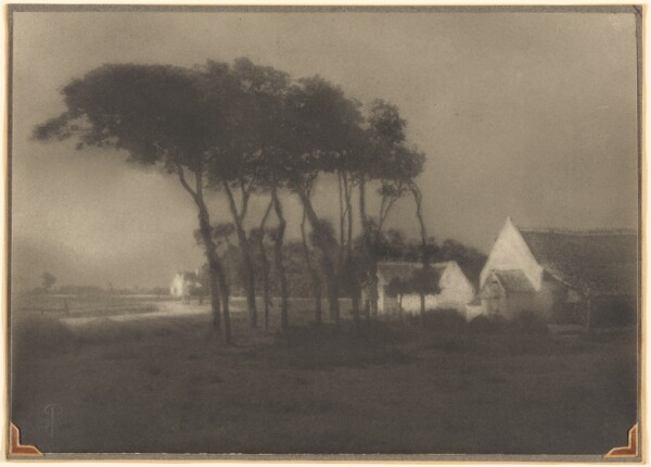 Pierre Dubreuil, Trees