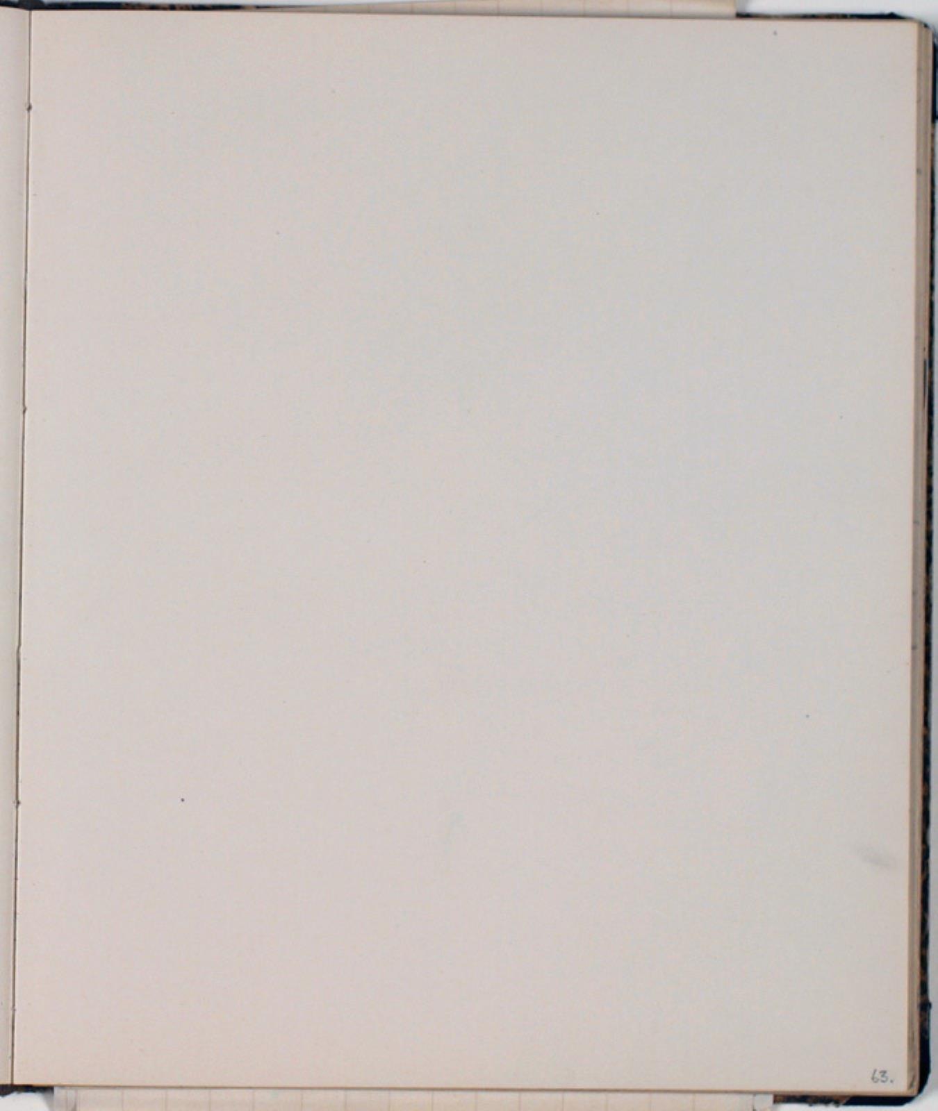 Niels Larsen Stevns, Blank