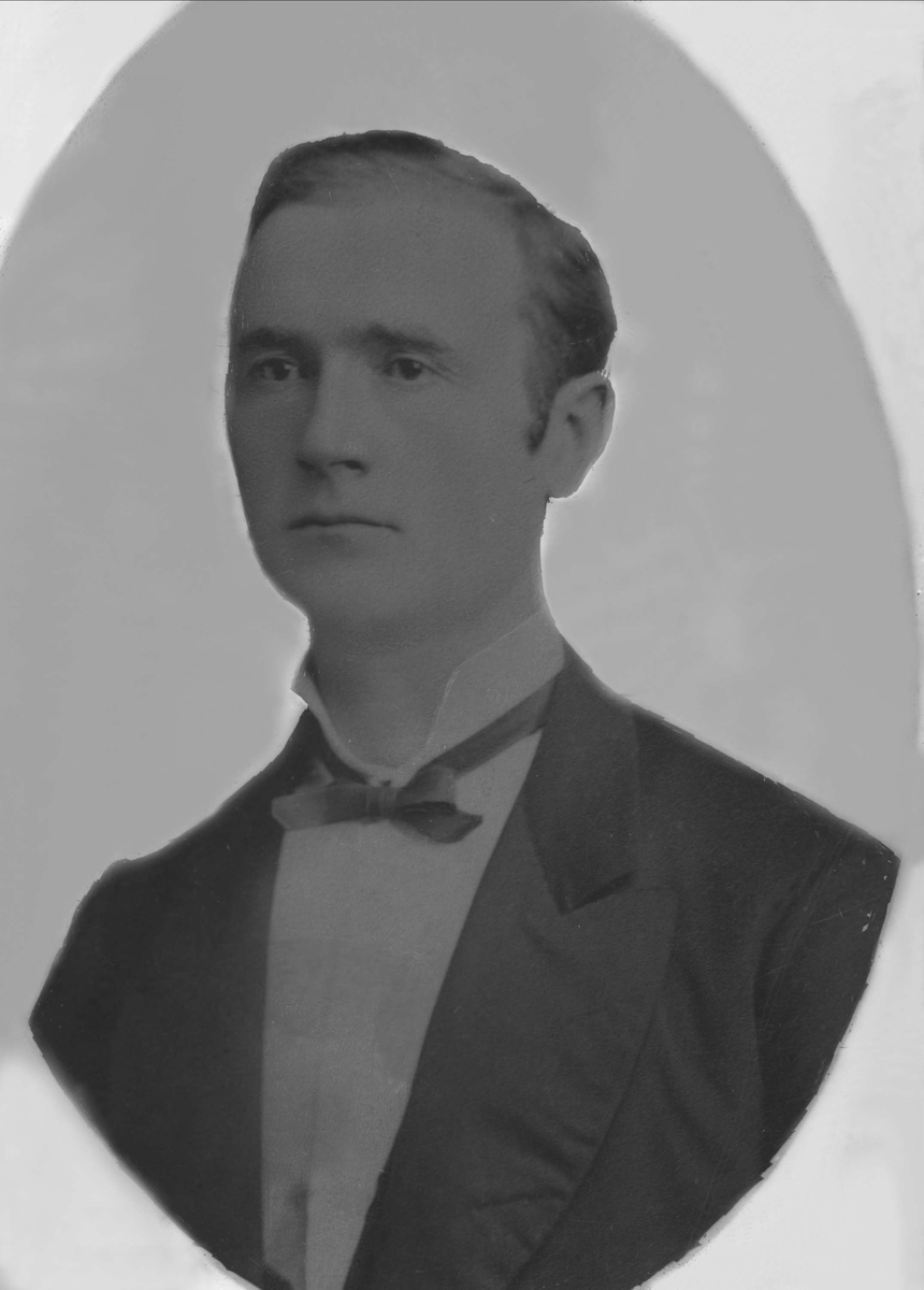 Gustav Borgen, Avfotografering.