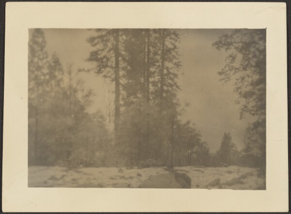 Louis Fleckenstein, [Landscape]