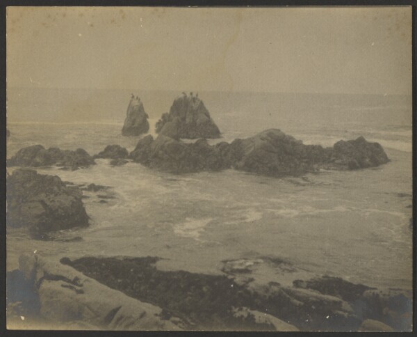 Louis Fleckenstein, [Seaside Coastline]
