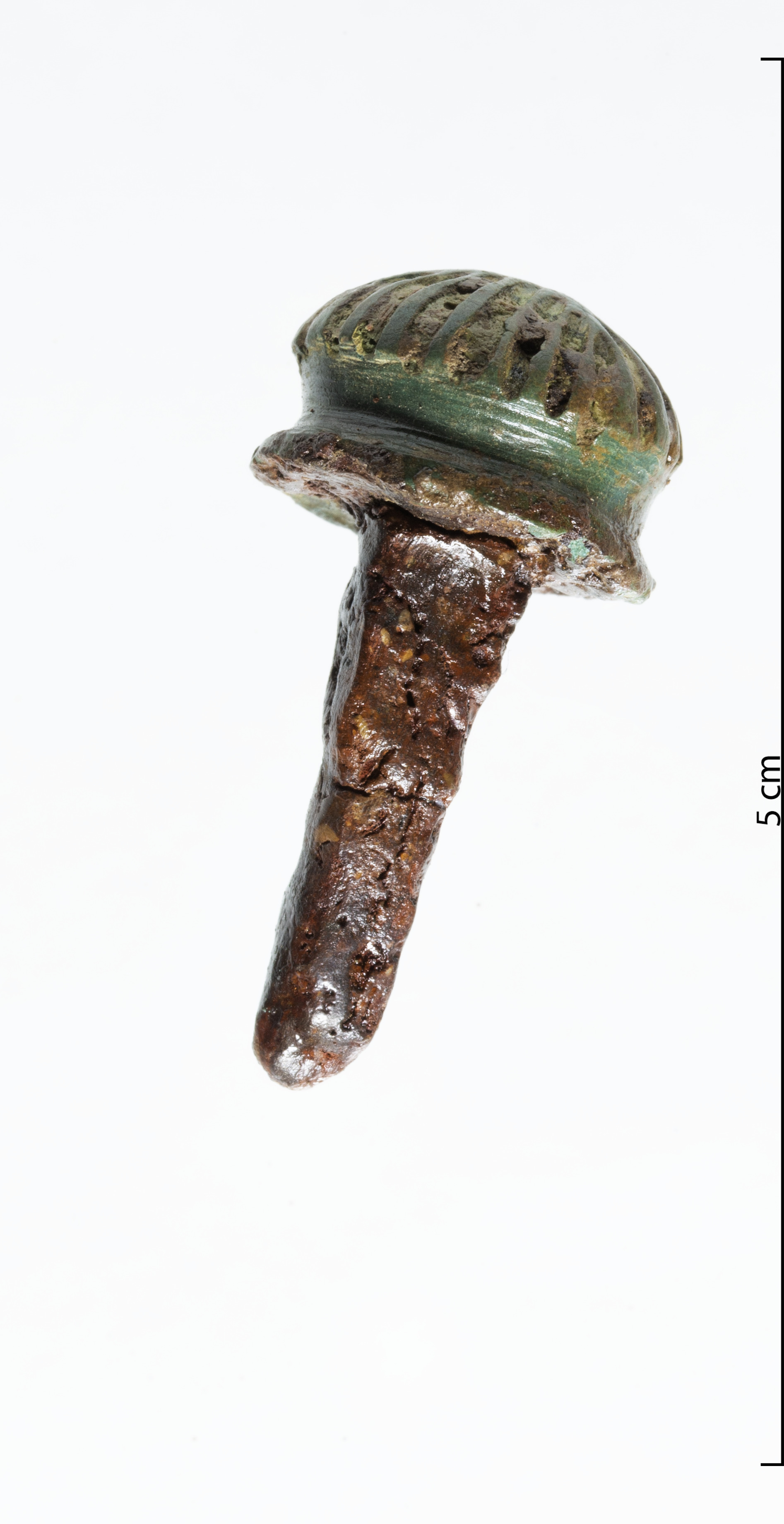 Bibracte Antoine Maillier, Enamelled rivet