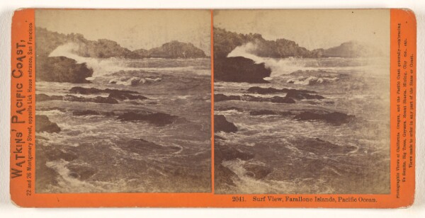 Carleton Watkins, Sea Lions, West End, Farallone [sic] Islands, Pacific Ocean.