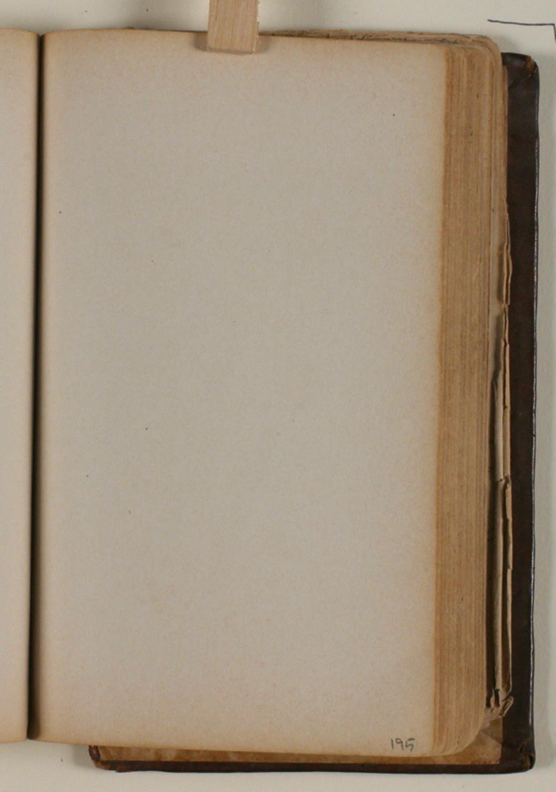 Niels Larsen Stevns, Blank