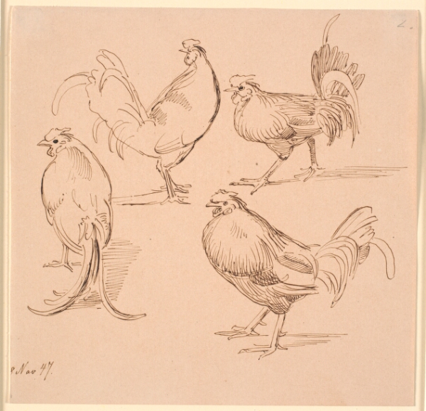 Johan Thomas Lundbye, Fire studier af haner