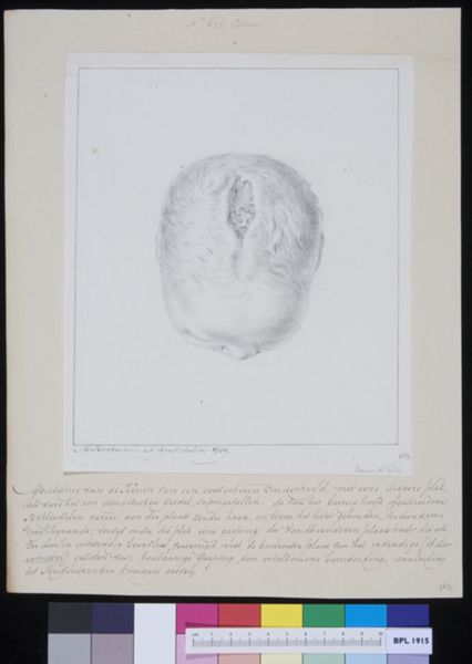 M Houtman, Head of a child, seen from above
