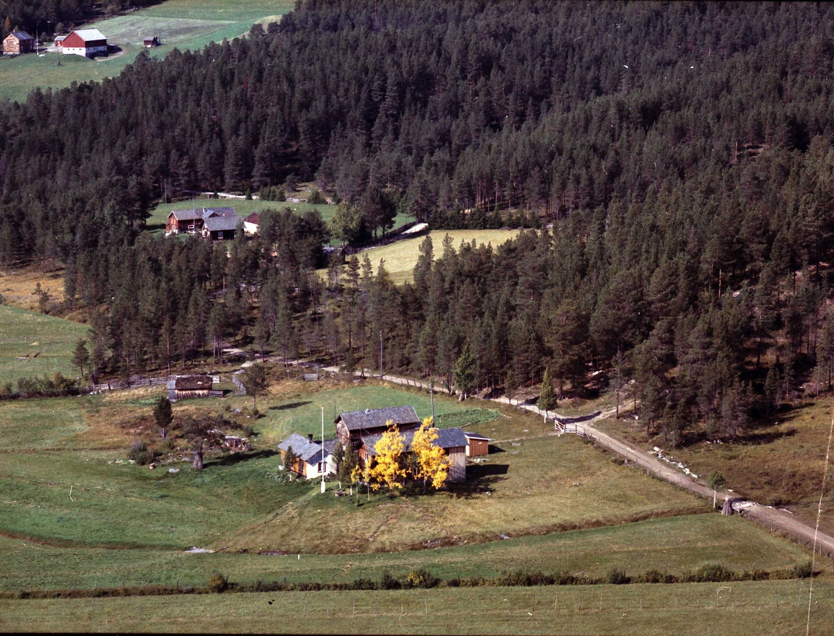 Widerøes Flyveselskap A/S, Gårdsbruk.
