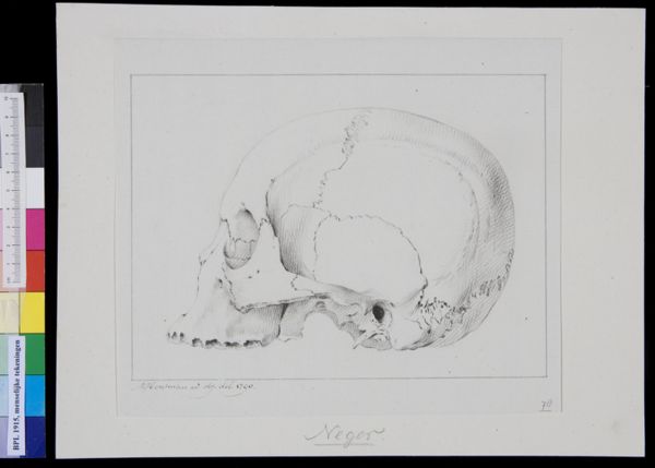 M Houtman, Skull of a black man