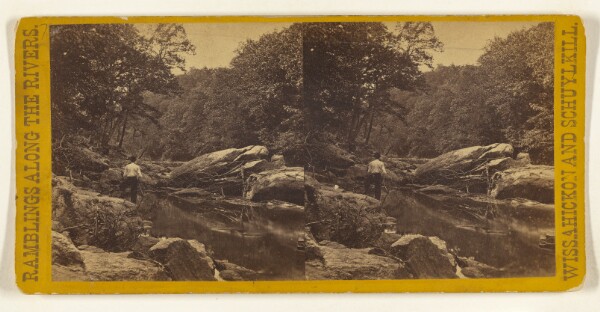 Edward and Henry T. Anthony & Co., Wissahickon Creek, Near Philadelphia Pa. Dog Pond.