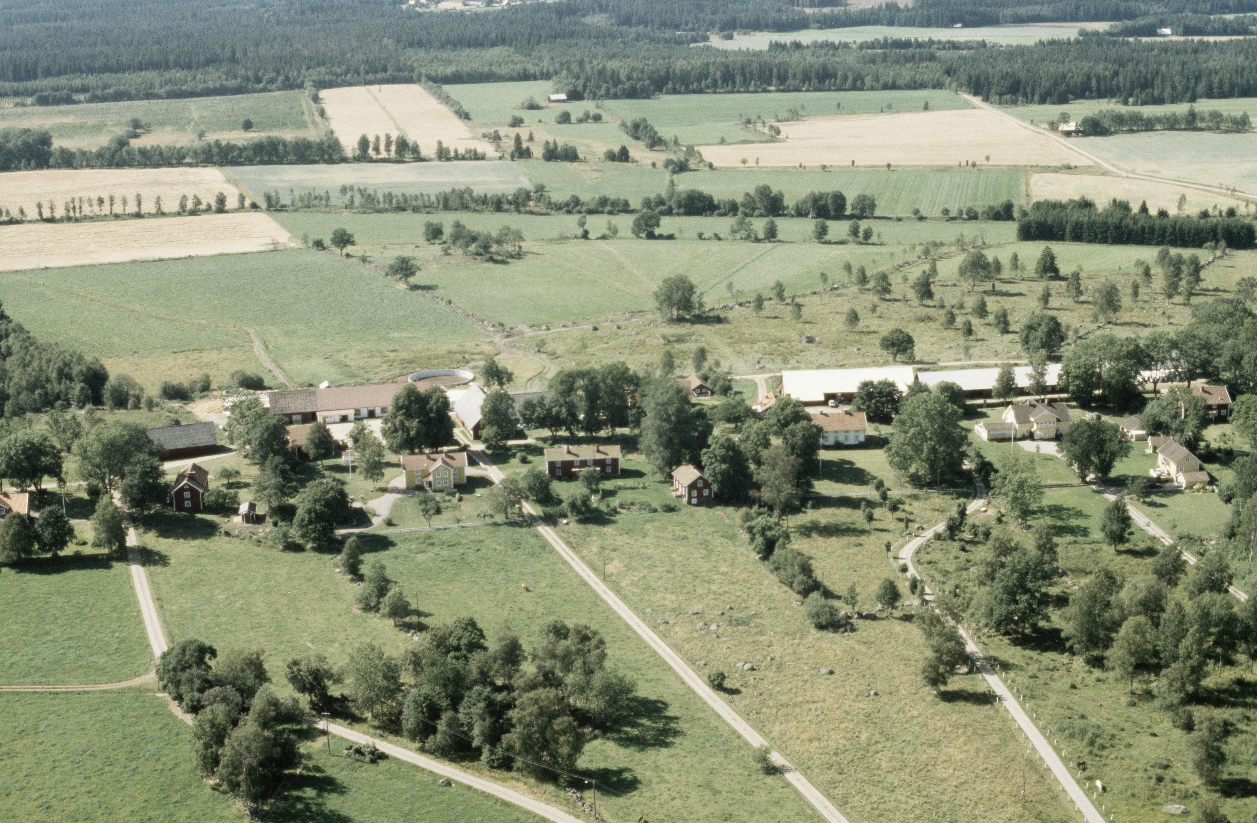 Jan Norrman, Hjärtanäs