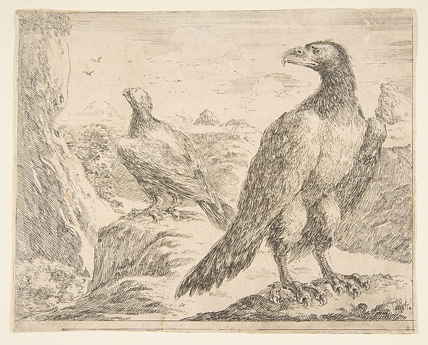 Stefano della Bella, Two Eagles, from "Eagles"  (Les Aigles)