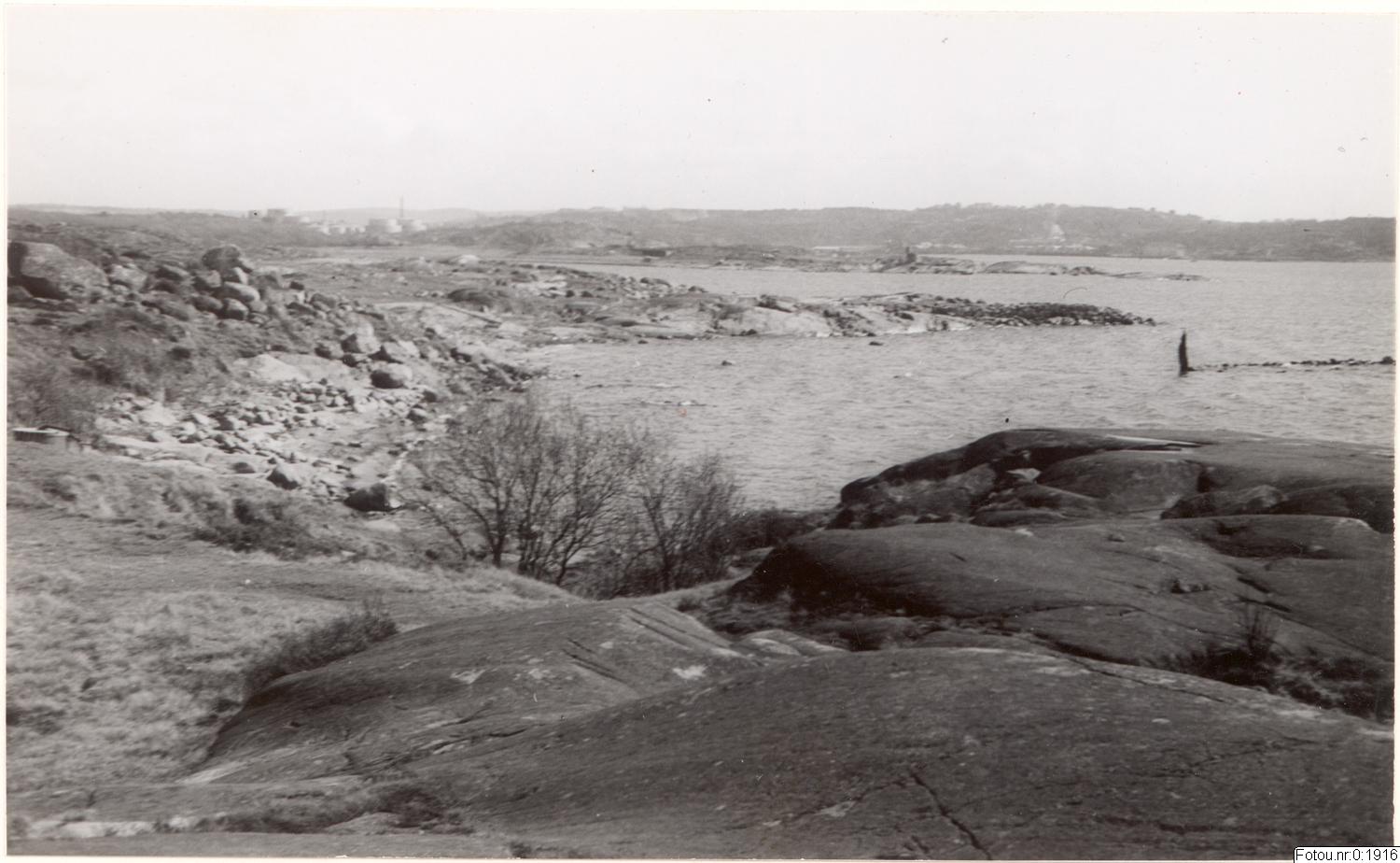 Hjalmar Wijk, påsiktsbild, bilder, fotografi