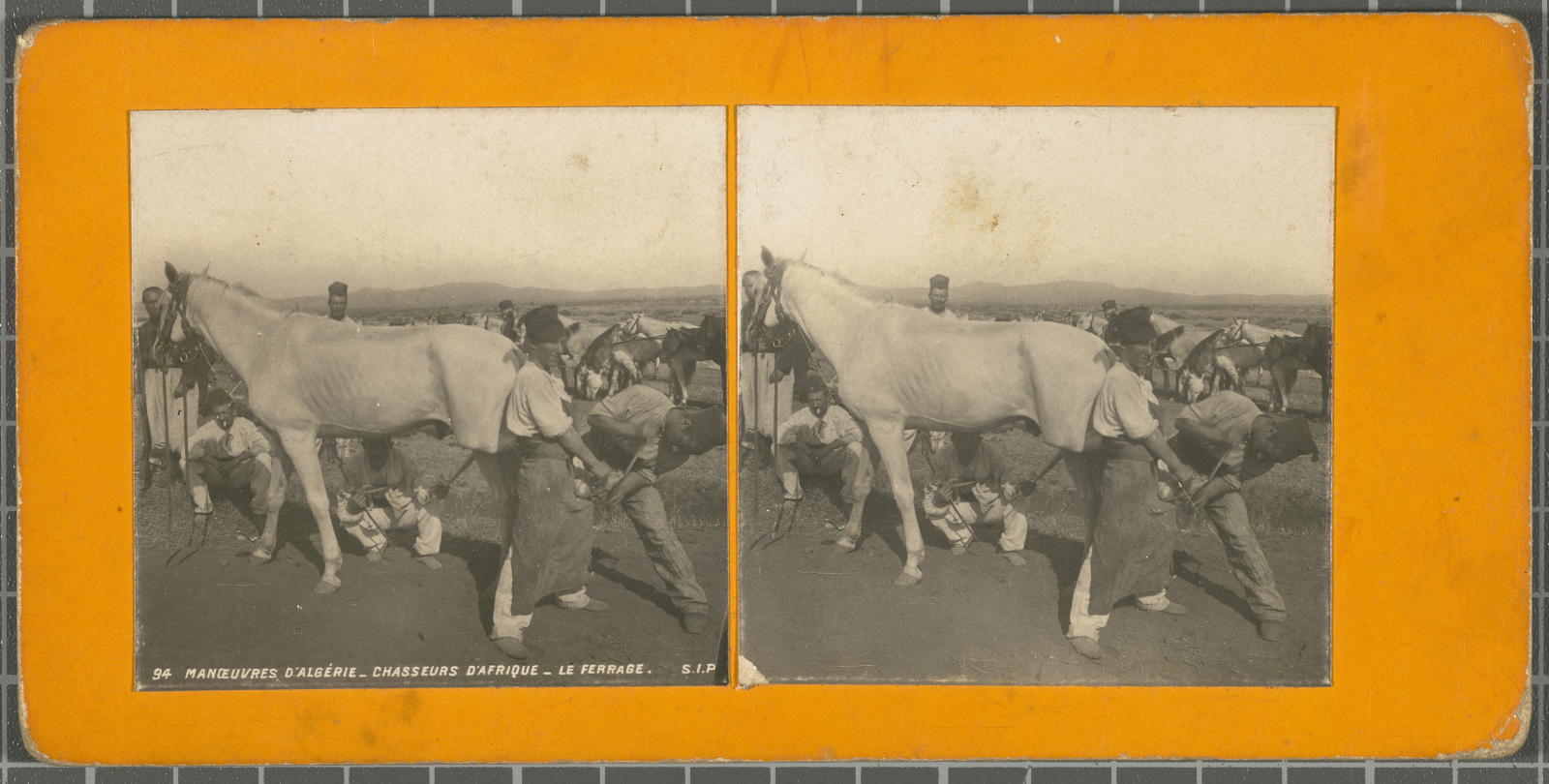 Desconegut, Manoeuvres d’ Algérie.Chasseurs d’ Afrique. Le Ferrage Justification of the title, registered title