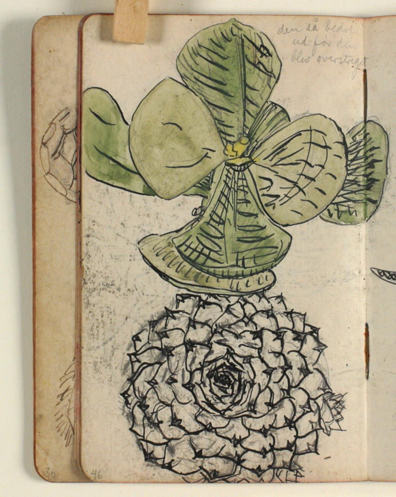 Niels Larsen Stevns, Plantestudier