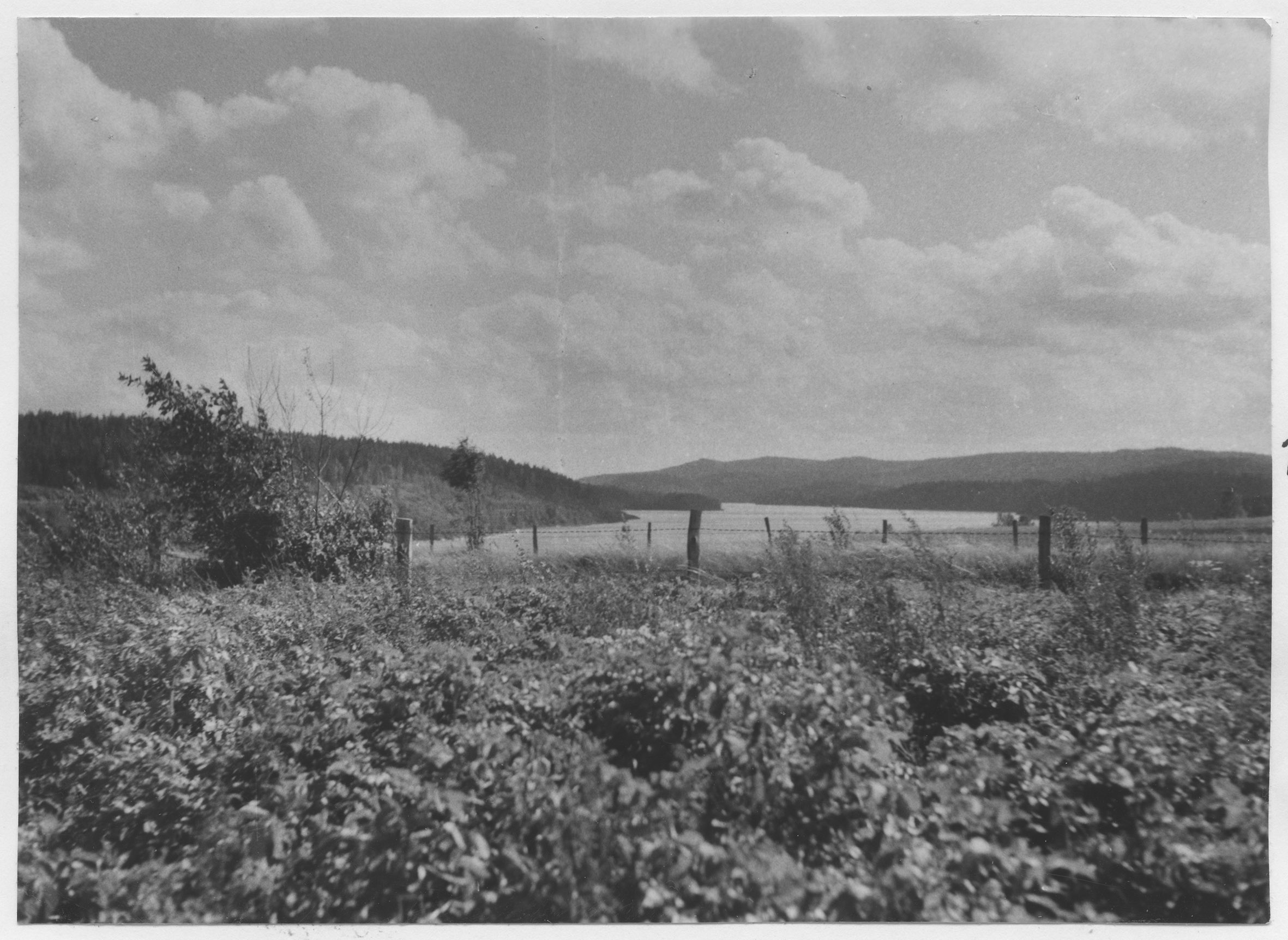 Mårten Sjöbeck, Högsbyn