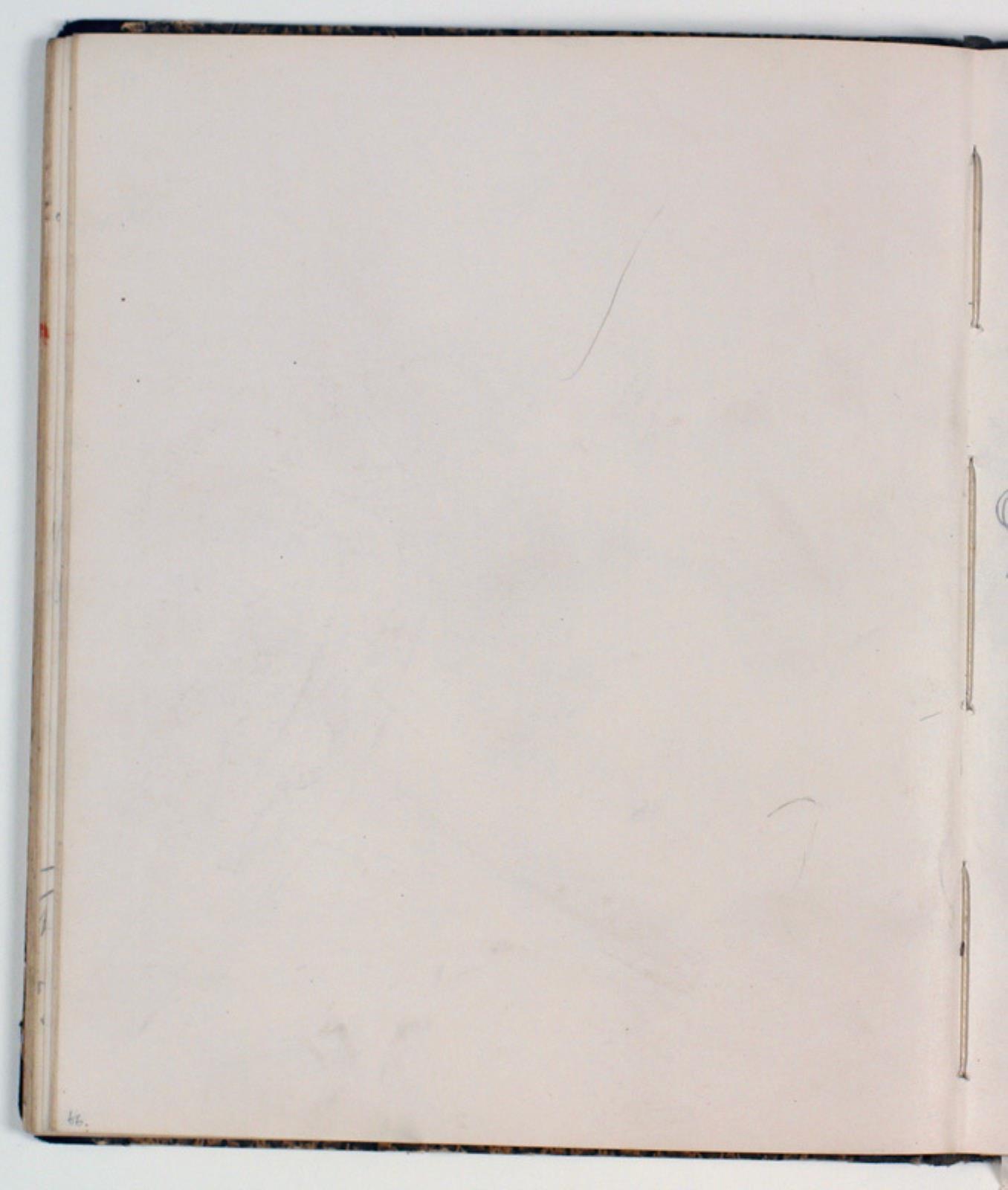 Niels Larsen Stevns, Blank