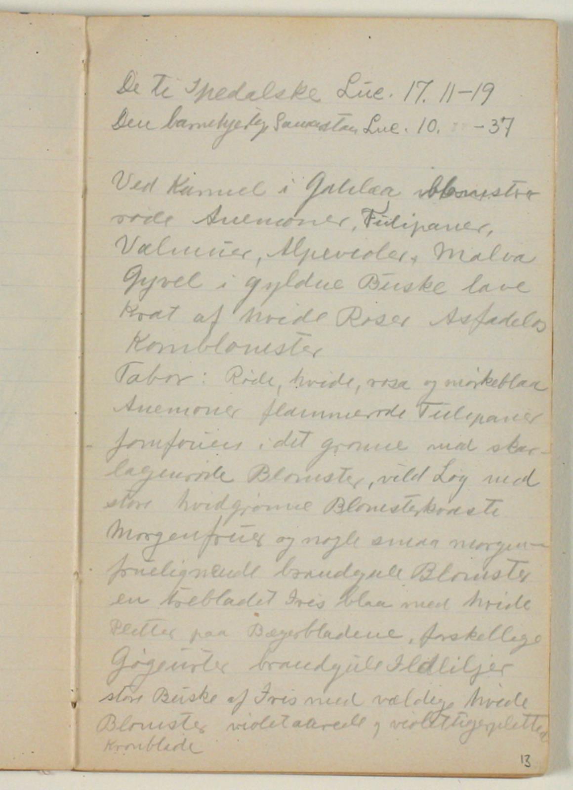 Niels Larsen Stevns, To bibelhenvisninger og notat vedr. blomsterfloraen i Karmel i Galilæa og Tabor