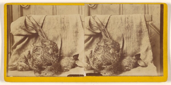 Unknown, [Still life of fowl and a hare]