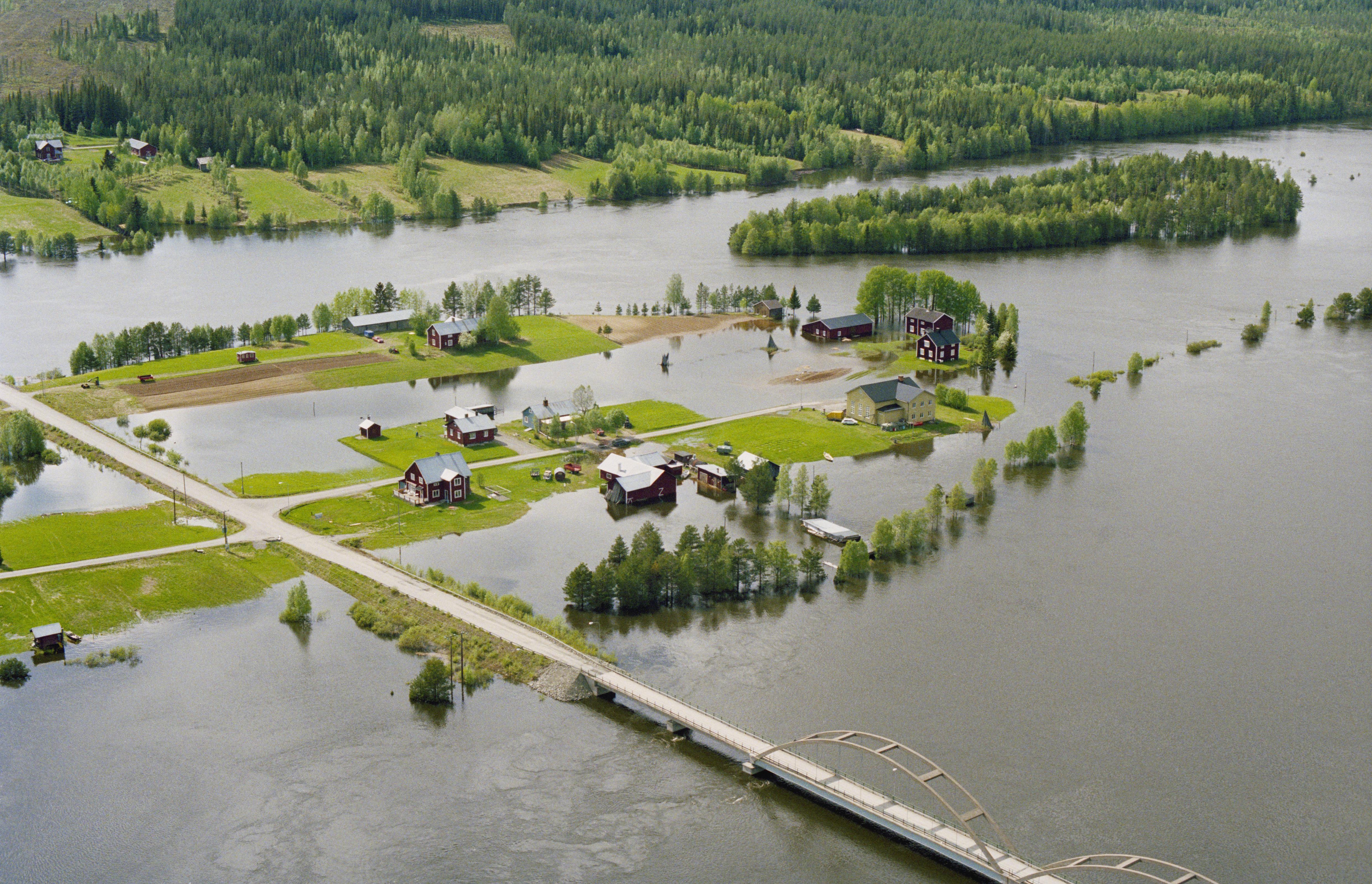 Jan Norrman, Lycksele 1526:1