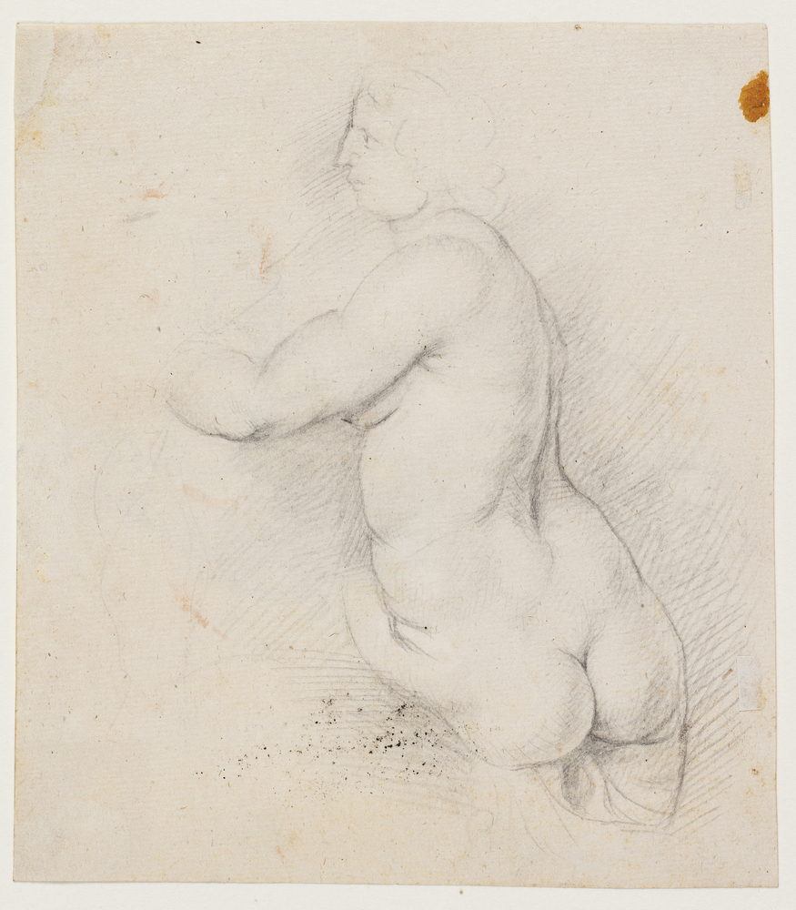Peter Paul Rubens, Kvindelig model
