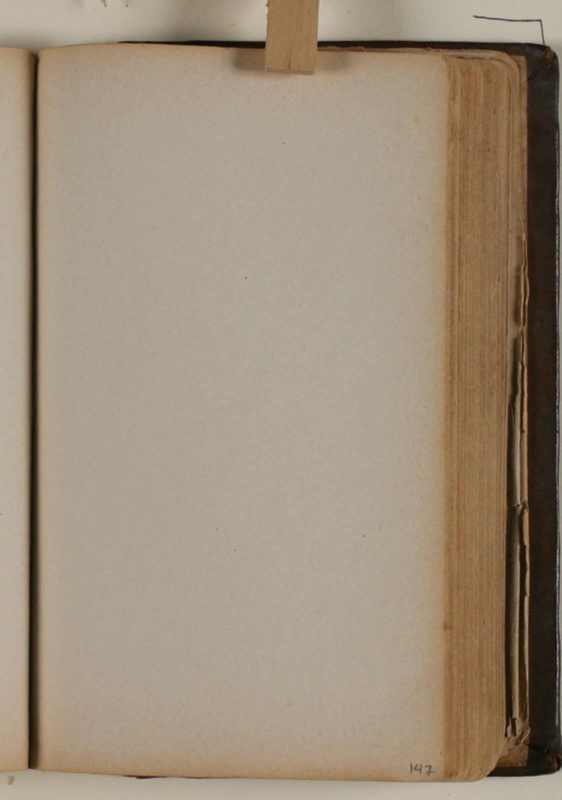Niels Larsen Stevns, Blank