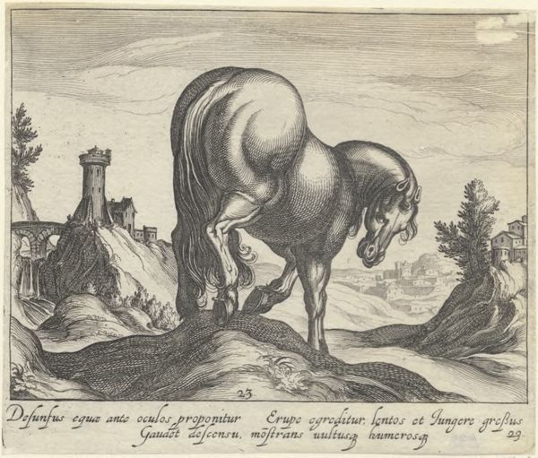 Panderen, Egbert van, (1581-1637?), (printmaker), Horse breeds: Landscape with a horse