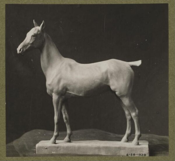unknown, Photograph