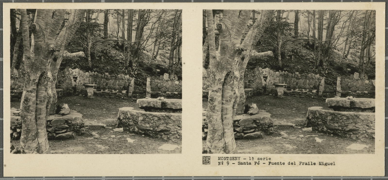 Desconegut, Montseny (Barcelona-Gerona)