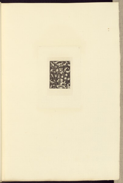 Édouard Baldus, [Design by Aldegräver]