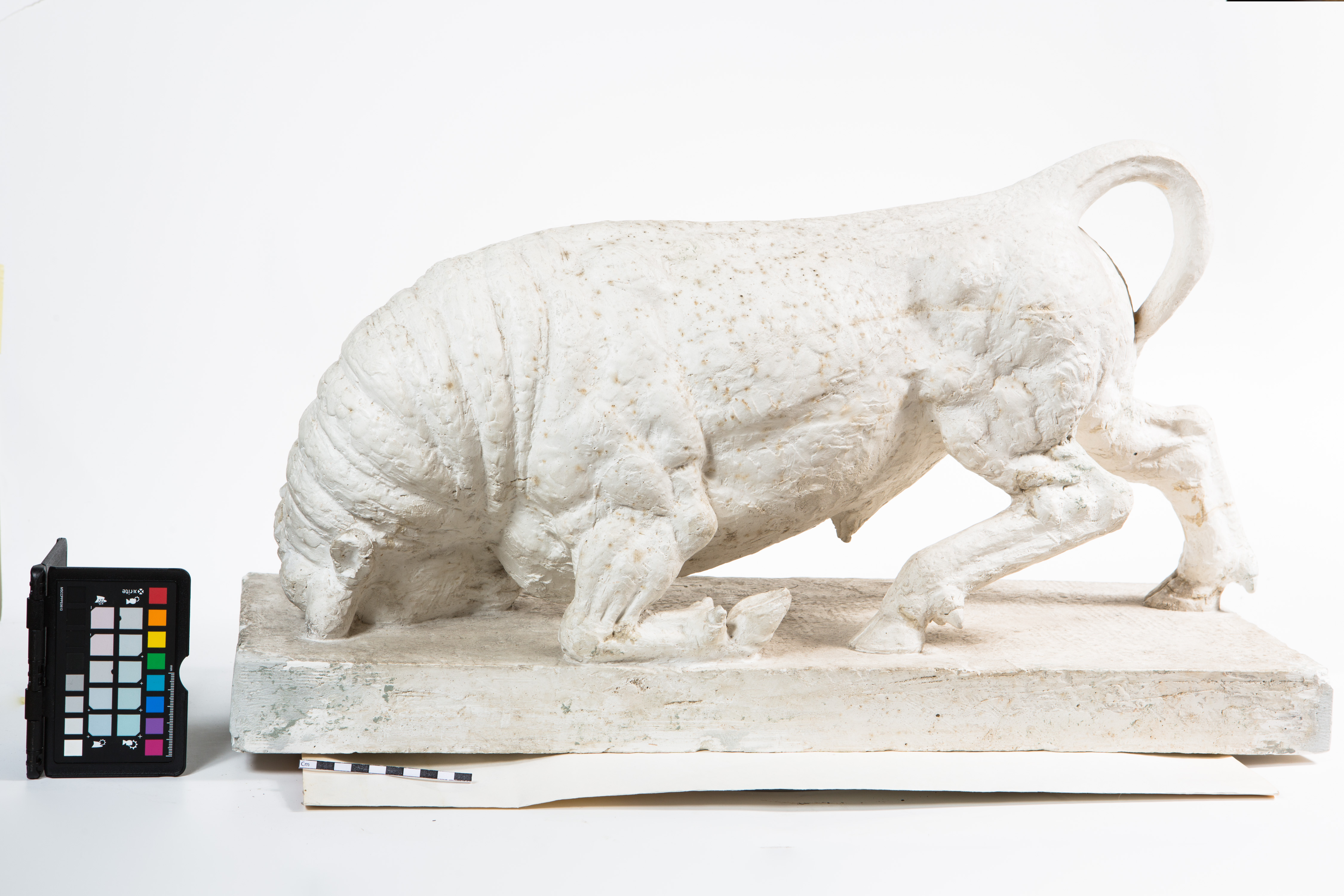 Ernst (author) River Island, Angry bull