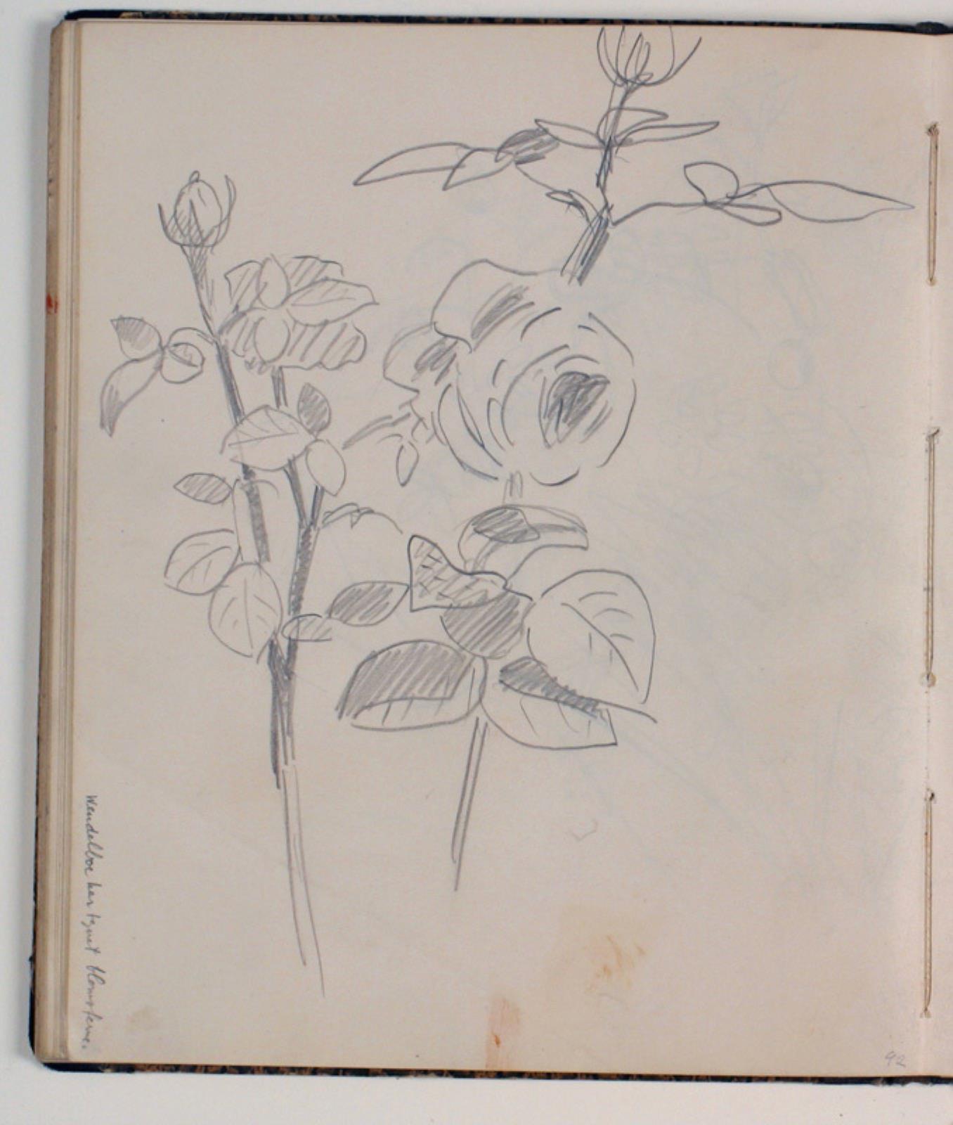 Niels Larsen Stevns, Studier af roser
