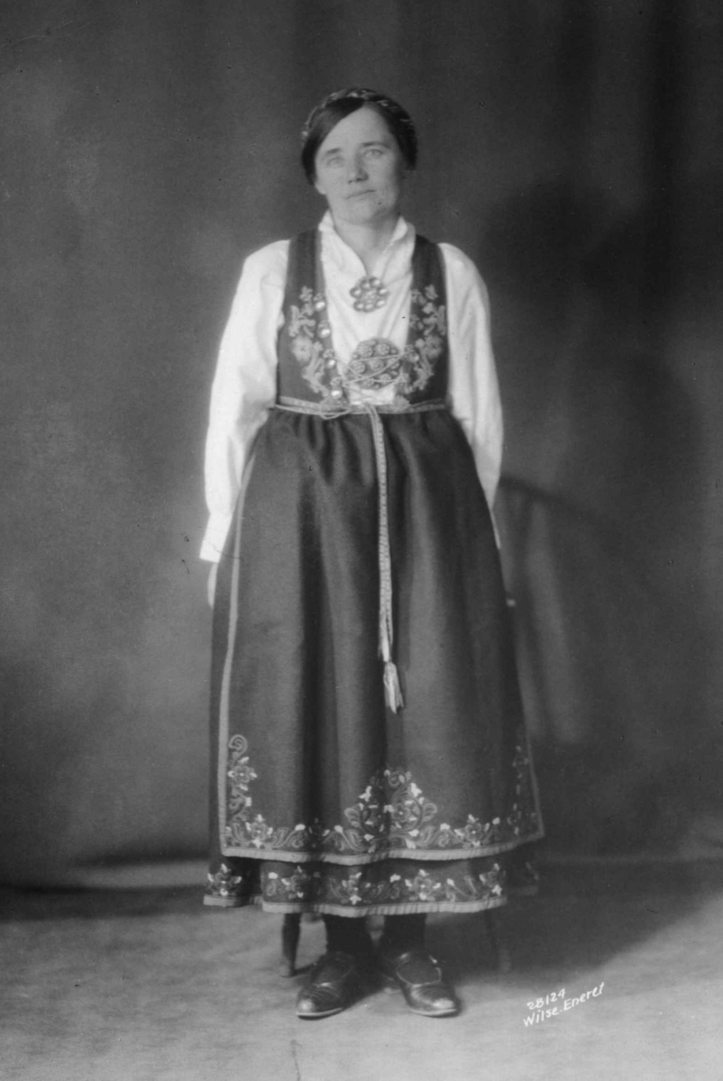 Anders Beer Wilse, Telemark
