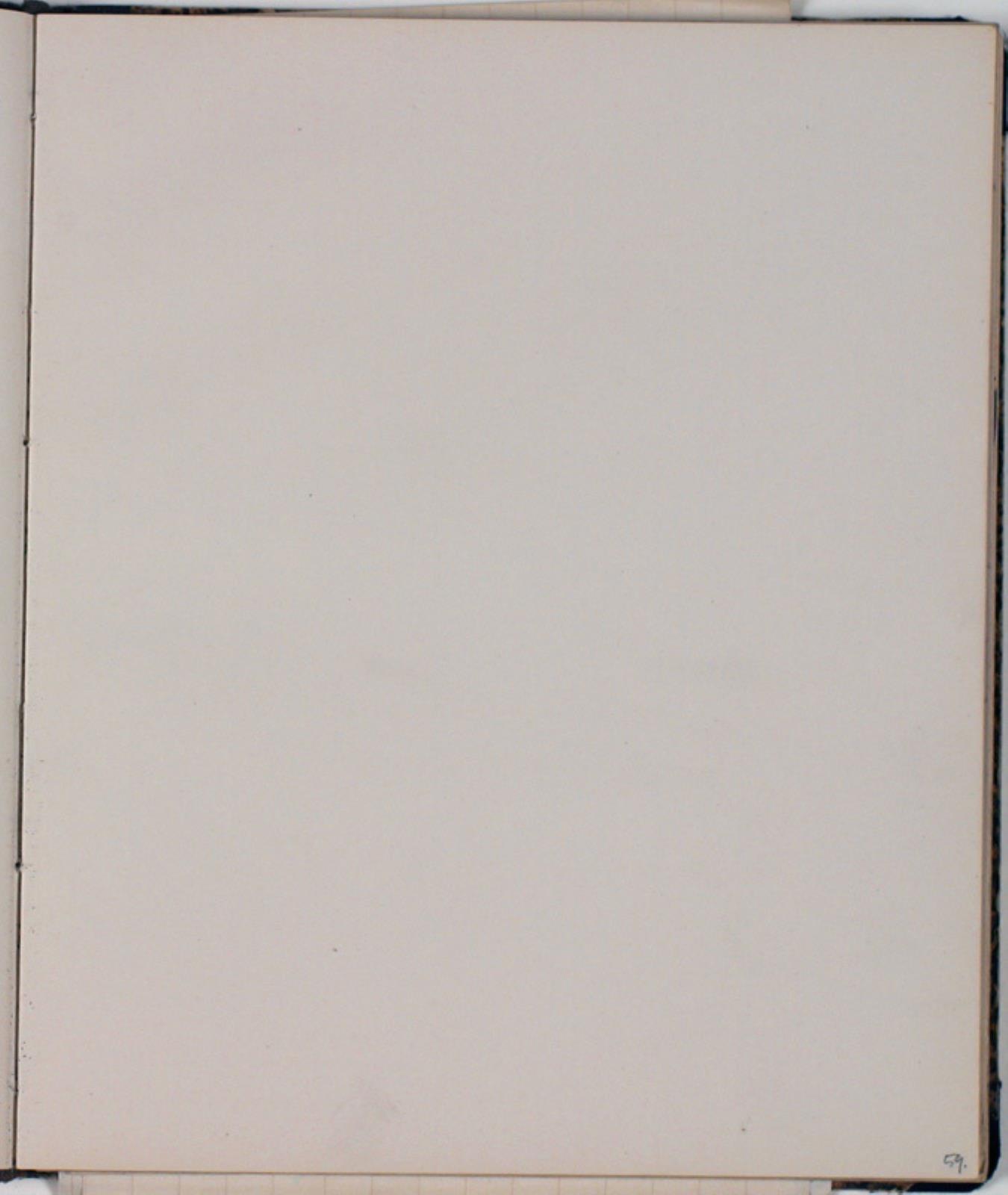 Niels Larsen Stevns, Blank