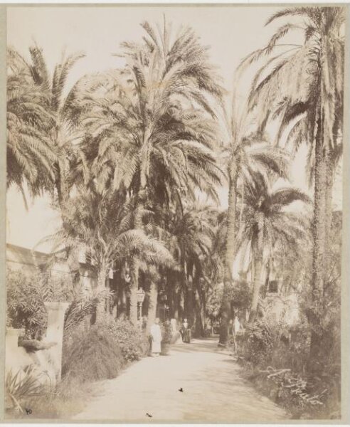 Unknown, Photograph