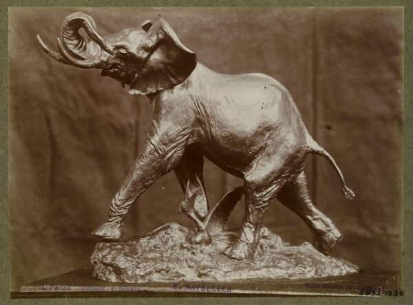 unknown, Photograph