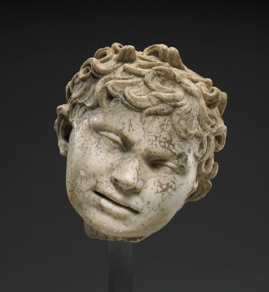 Unknown, Head of a Boy