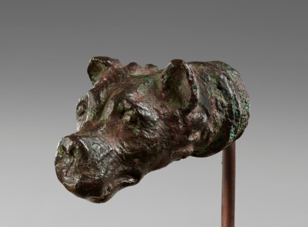 Unknown, Head of a Dog