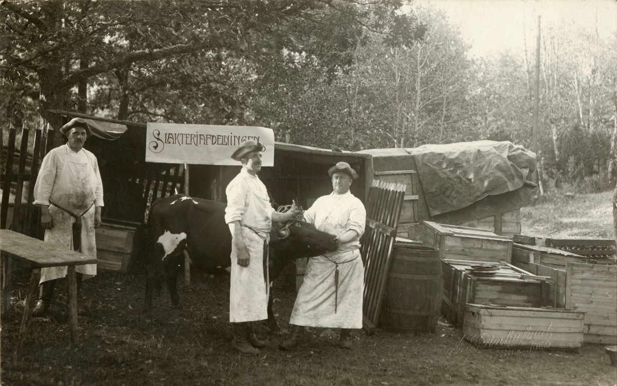 Axel A W Swinhufvud, Landstormens mobilisering 1914, slakteriavdelningen.
