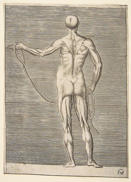 Giulio Bonasone, Flayed man seen from behind, holding a rope