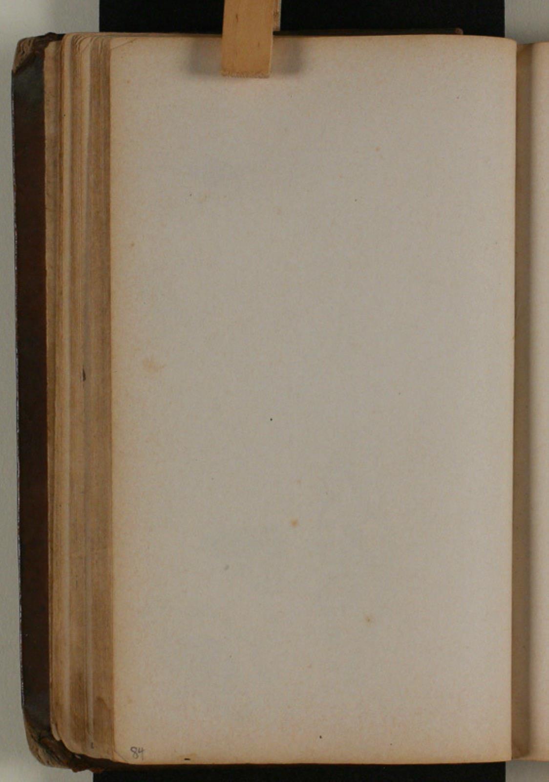 Niels Larsen Stevns, blank