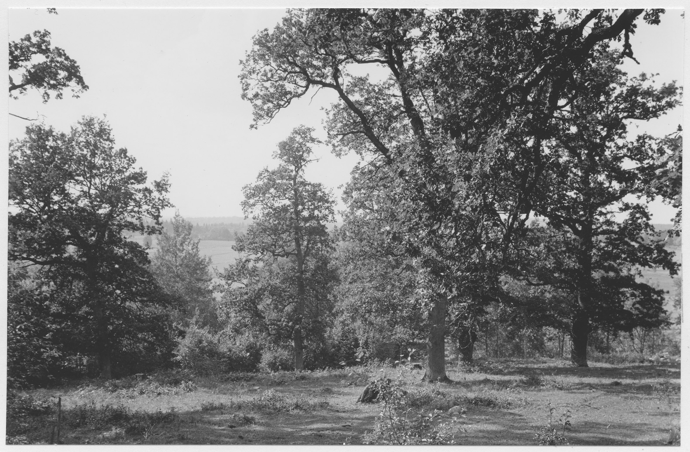 Mårten Sjöbeck, Höga
